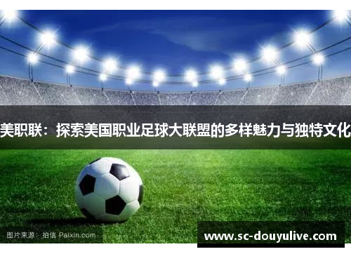 美职联：探索美国职业足球大联盟的多样魅力与独特文化